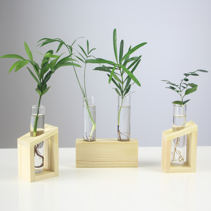 Oasis Hydroponic Plant Vase with Creative Wooden Stand