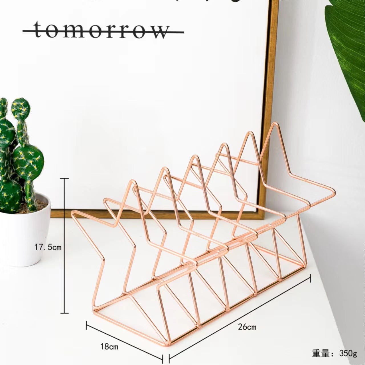 Nordic Minimalist Iron Book Rack with Magazine Holder