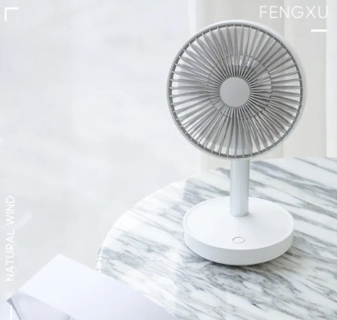 Rechargeable USB Desk Fan with Oscillating Head
