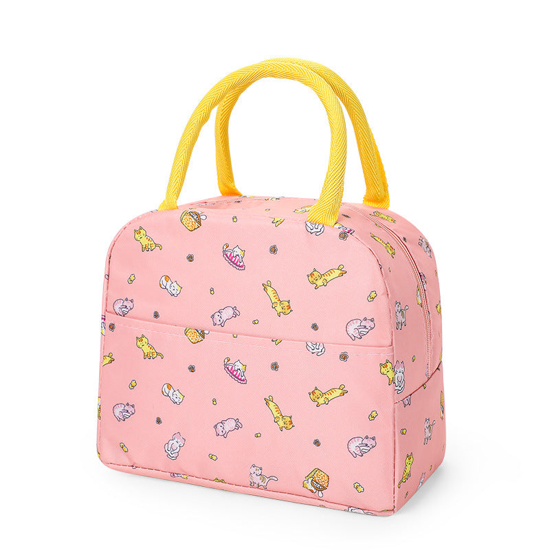 Korean Style Picnic Bag with Insulated Lunch Box