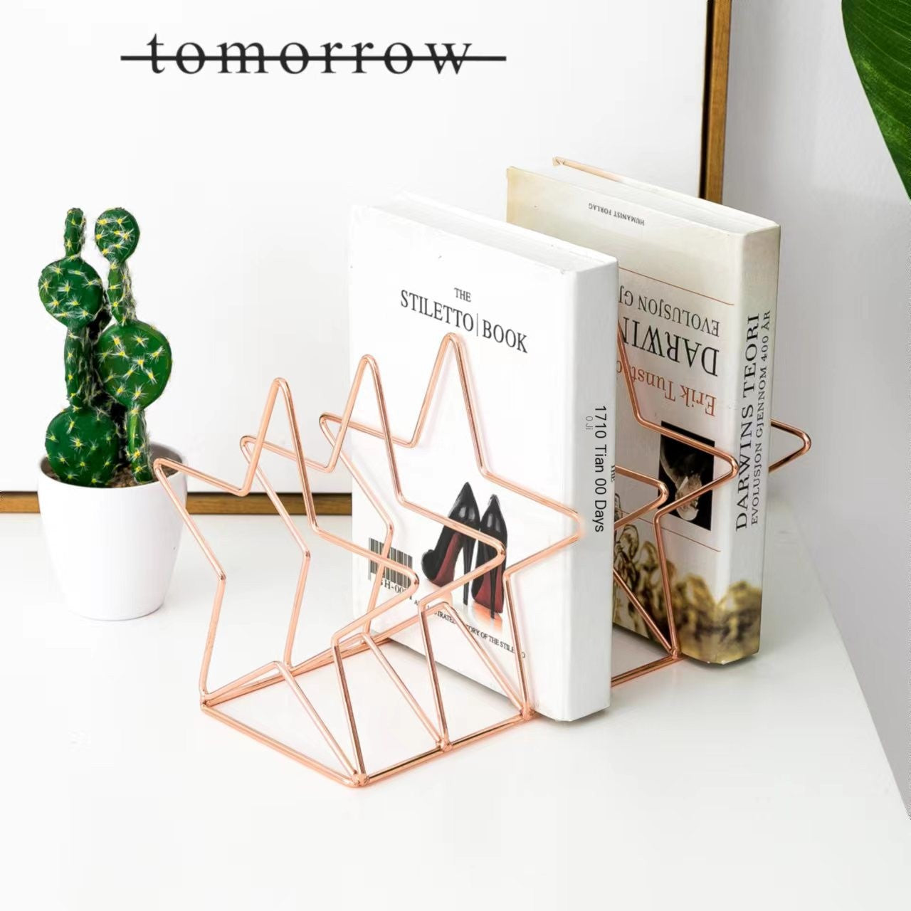 Nordic Minimalist Iron Book Rack with Magazine Holder