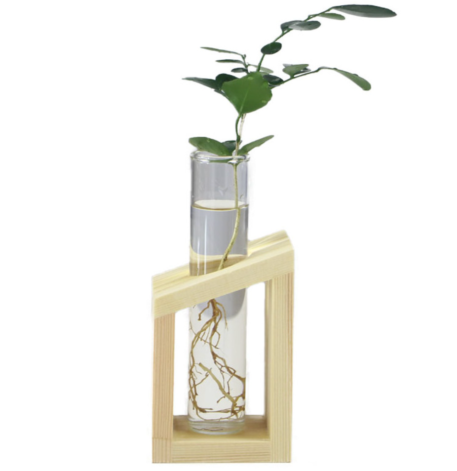 Oasis Hydroponic Plant Vase with Creative Wooden Stand