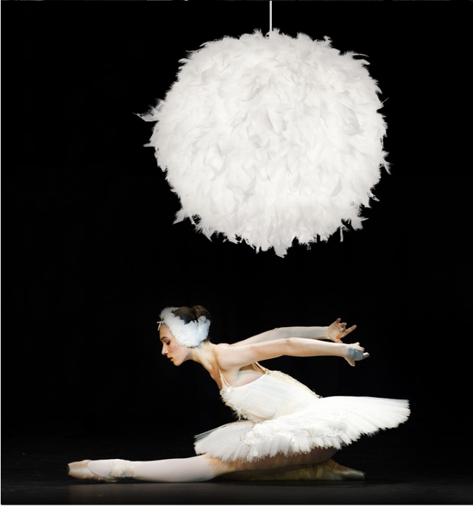 Feather Round Ball Pendant Light