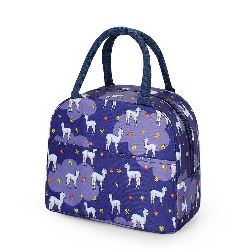Korean Style Picnic Bag with Insulated Lunch Box