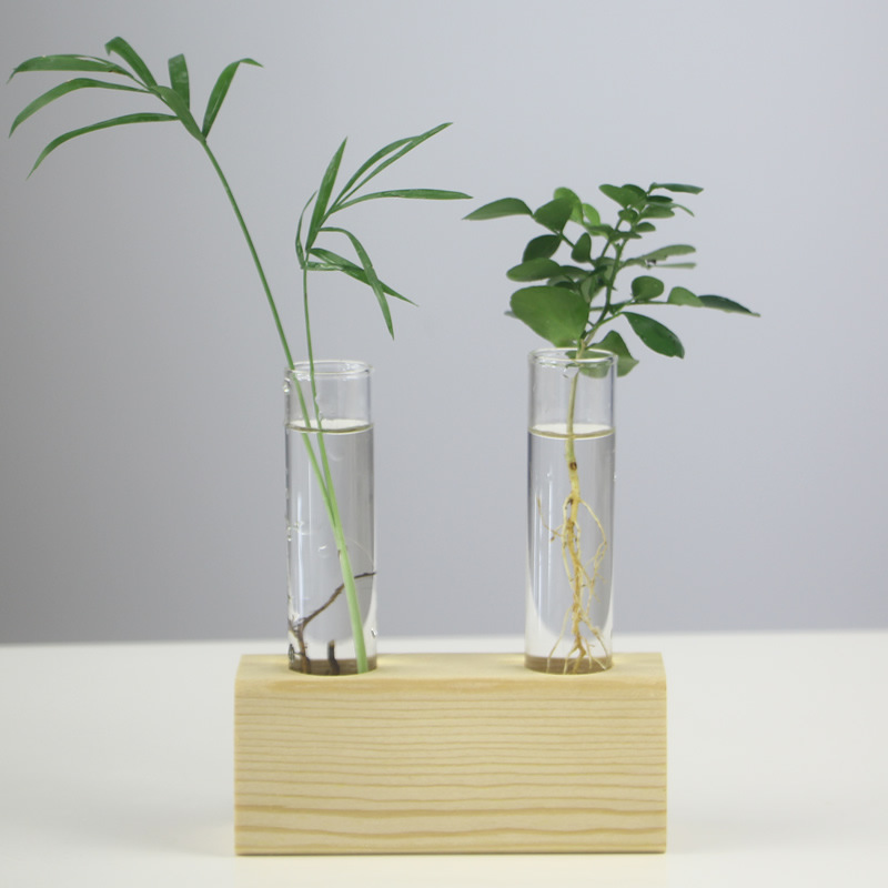 Oasis Hydroponic Plant Vase with Creative Wooden Stand
