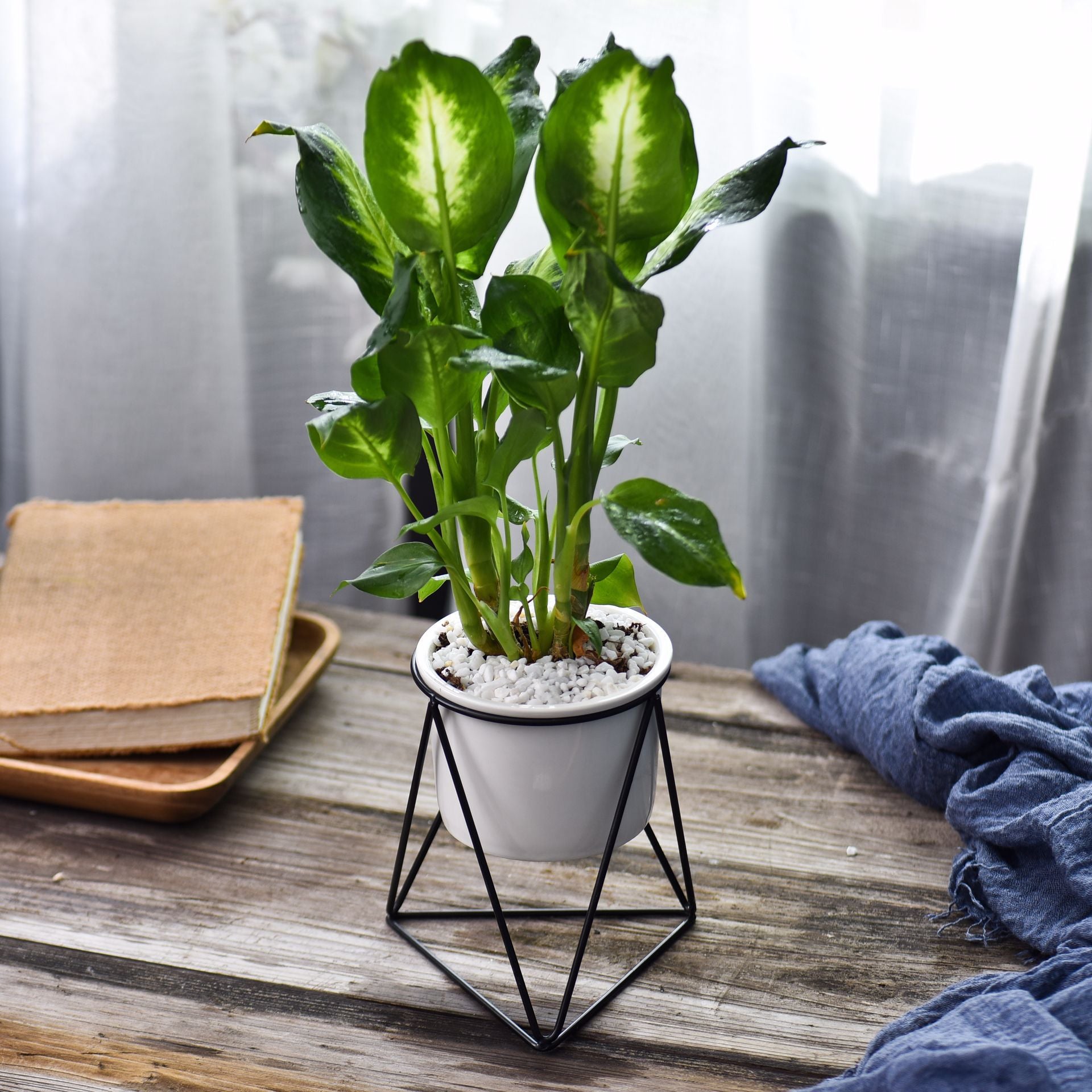 Nordic Triangle Ceramic Planter Stand