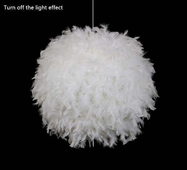 Feather Round Ball Pendant Light