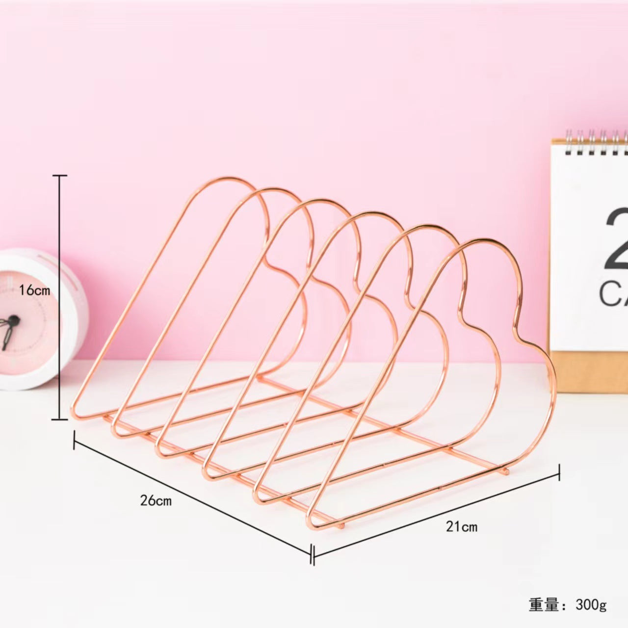 Nordic Minimalist Iron Book Rack with Magazine Holder