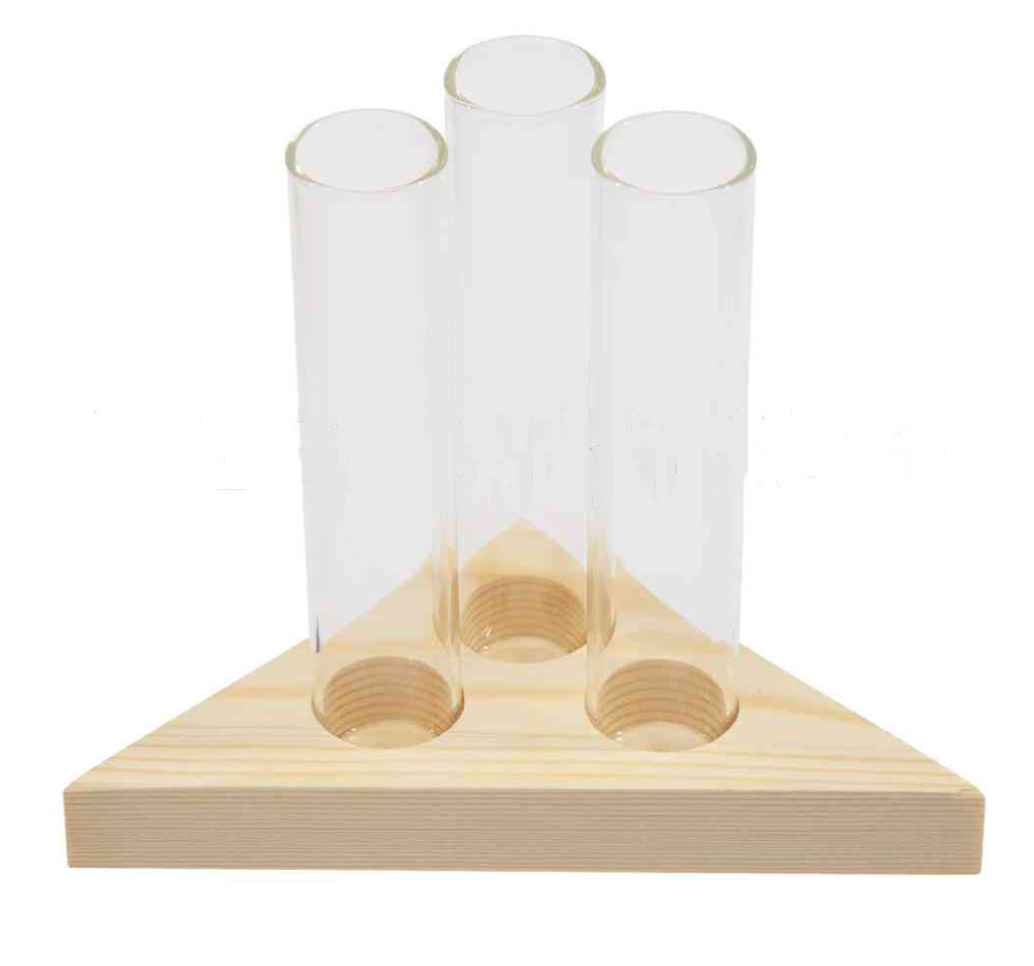 Oasis Hydroponic Plant Vase with Creative Wooden Stand