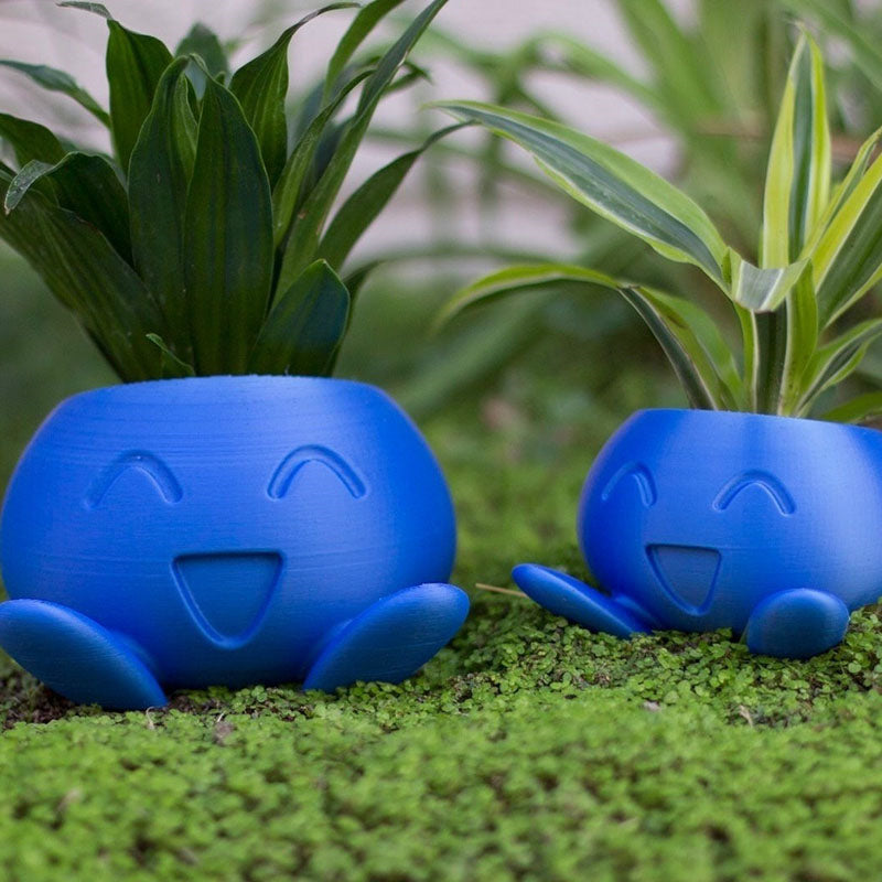Oddish Flower Pot Planter for Succulents and Plants