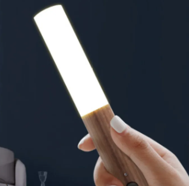 Induction Night Light