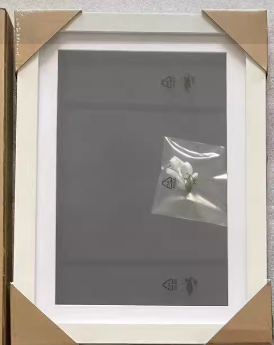 Magnetic Picture Frame