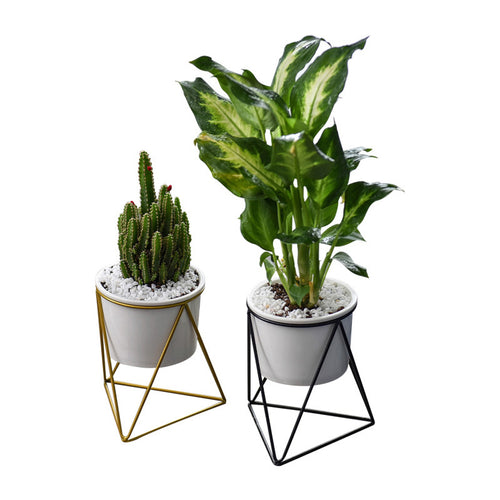 Nordic Triangle Ceramic Planter Stand