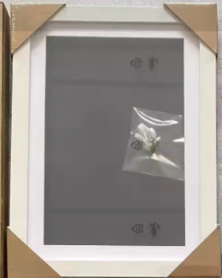 Magnetic Picture Frame