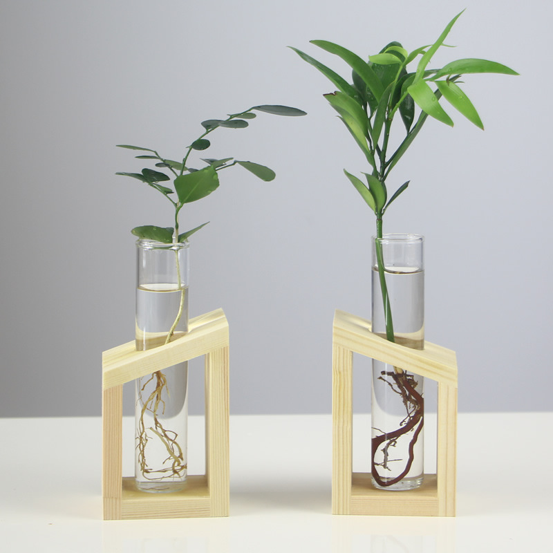 Oasis Hydroponic Plant Vase with Creative Wooden Stand