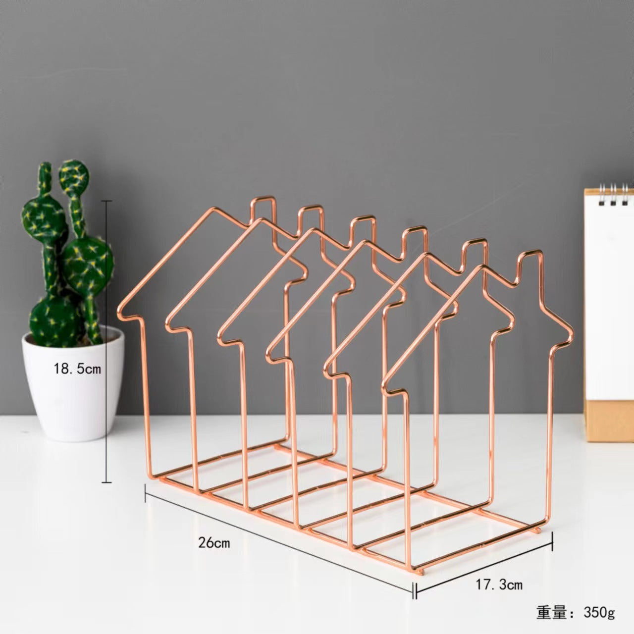 Nordic Minimalist Iron Book Rack with Magazine Holder