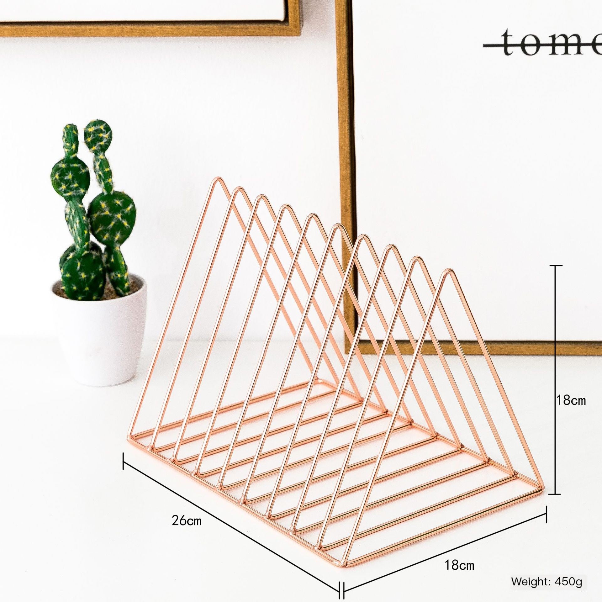 Nordic Minimalist Iron Book Rack with Magazine Holder