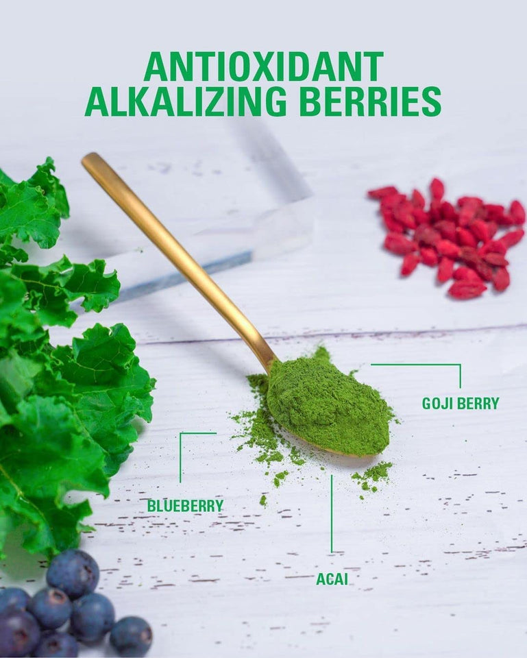 Ehplabs Oxygreens Daily Super Greens Powder - Green Superfood, Spirulina Herbal Supplement with Prebiotic Fibre, Alkalizing Antioxidants & Immunity Wellness, 30 Serves (Pineapple)