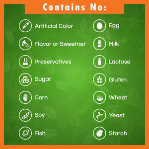 Vitamin B2 (Riboflavin) 400Mg - Migraine Relief - Veggie Capsules - Conezyme Precursor - 120 Count
