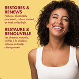 Jamaican Black Castor Oil Strengthen and Restore Shampoo, 384 Ml