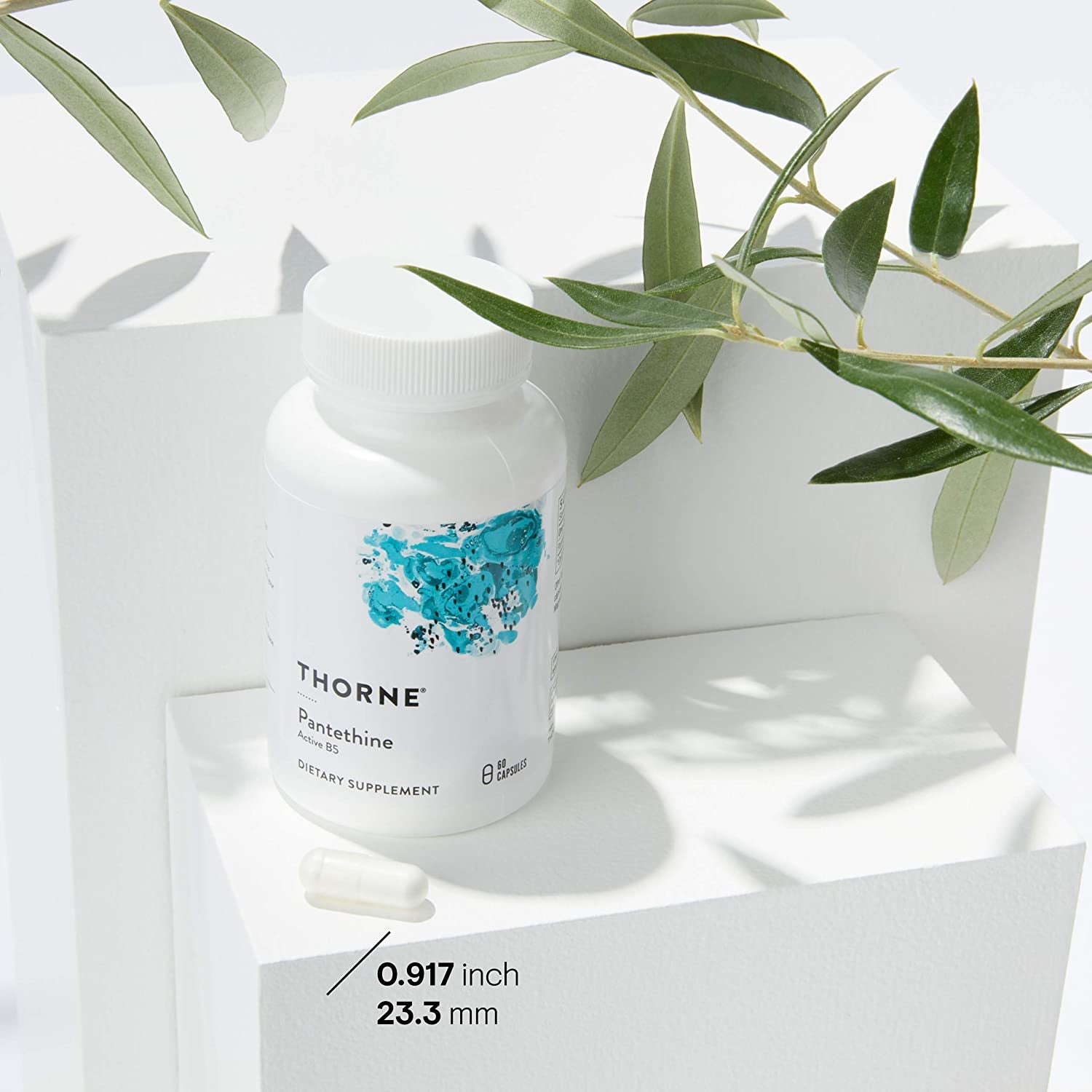 - Pantethine - Vitamin B5 (Pantothenic Acid) Supplement in Its Active Form - 60 Capsules