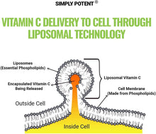 Load image into Gallery viewer, Liposomal Vitamin C 1200Mg, 180 Vit C Capsules, Stronger Supplement than Liposomal Vitamin C 1000Mg or Vitamin C 500Mg, High Dose Ascorbic Acid Vitamin C Antioxidant for Collagen Immune Support Heart
