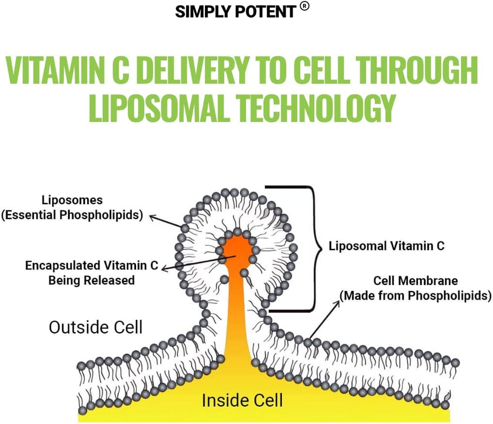 Liposomal Vitamin C 1500Mg, 180 Vit C Capsules, Stronger Supplement than Liposomal Vitamin C 1000Mg or Vitamin C 500Mg, High Dose Ascorbic Acid Vitamin C Antioxidant for Collagen Immune Support Heart