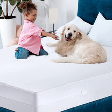 Load image into Gallery viewer, Zippered Mattress Encasement Full - 100% Waterproof and Bed Bug Proof Mattress Protector - Absorbent, Six-Sided Mattress Cover
