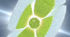 Sonicare Electric Toothbrush Heads - W2 Optimal White Standard (8-Pack), White, HX6068/67