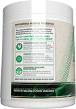Ehplabs Oxygreens Daily Super Greens Powder - Green Superfood, Spirulina Herbal Supplement with Prebiotic Fibre, Alkalizing Antioxidants & Immunity Wellness, 30 Serves (Pineapple)