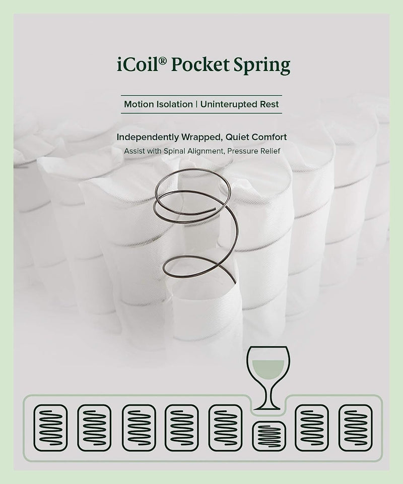 Support plus Queen Mattress | Icoil Pocket Springs Eurotop/Firm Plush Foam | 10Yrs Warranty | Medium Feel Bed