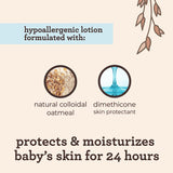 Daily Moisturising Fragrance Free Lotion 532Ml