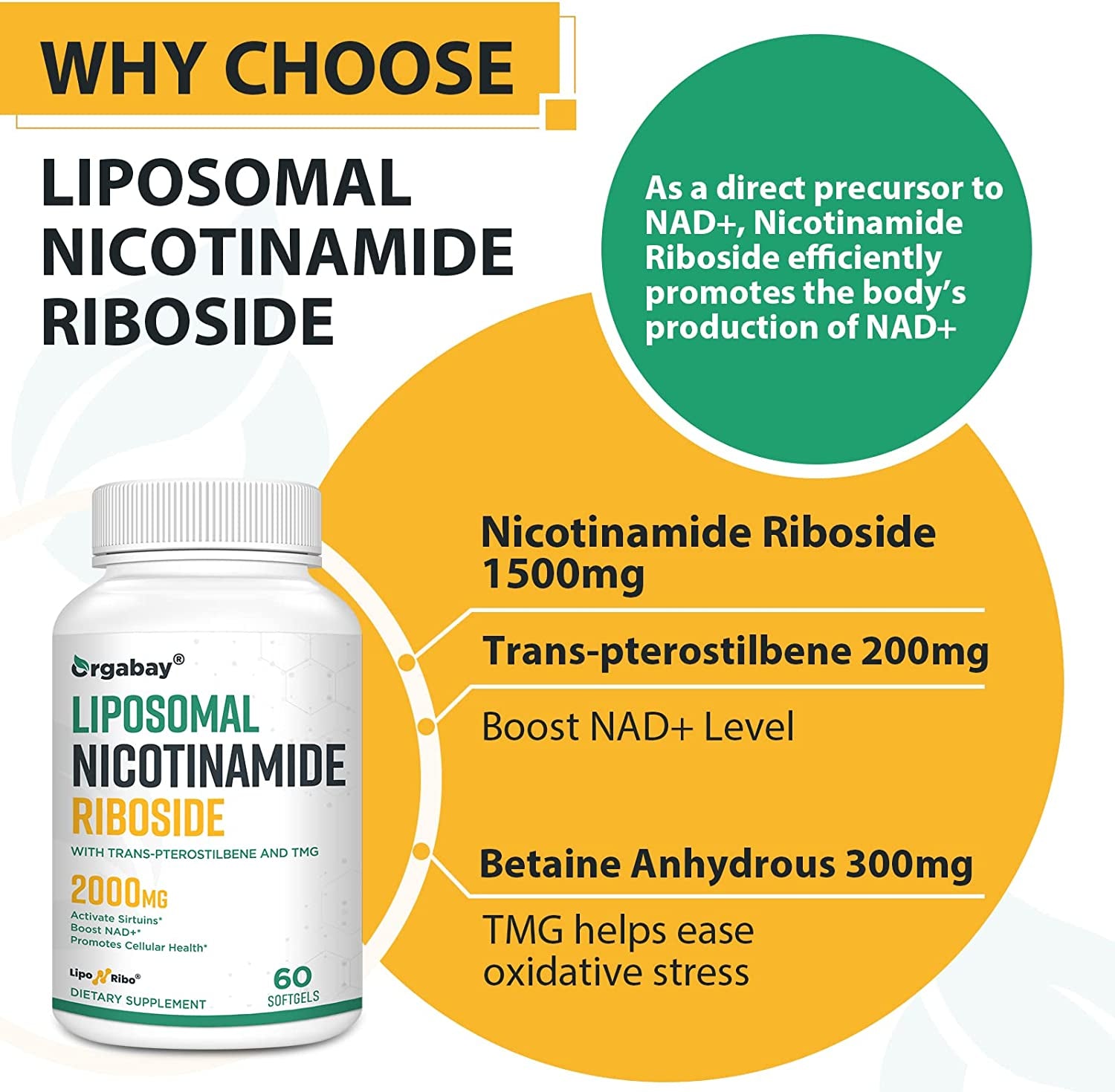 Liposomal Nicotinamide Riboside 2000 MG with TMG and Pterostilbene, Similar to NMN Supplements Boost NAD+, Metabolism Booster Support Healthy Aging ,120 Count
