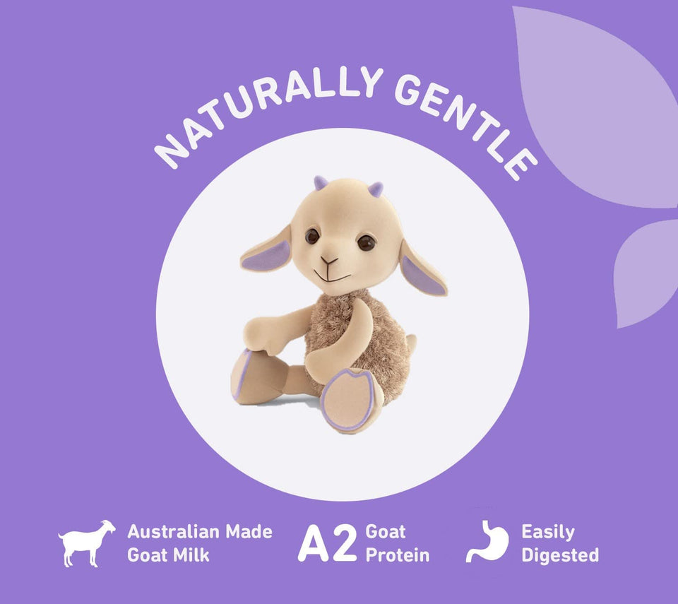 Easy-Digest Goat Milk Toddler Drink, Stage 3, 800 G