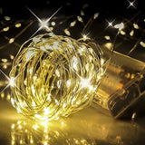 2 Pack Led Fairy Lights Battery Operated, 33FT 100LED Warm White Battery Powered Copper Wire Starry String Lights for Christmas, Parties, Wedding, Bedroom, Patio, Indoor, Home Decoration