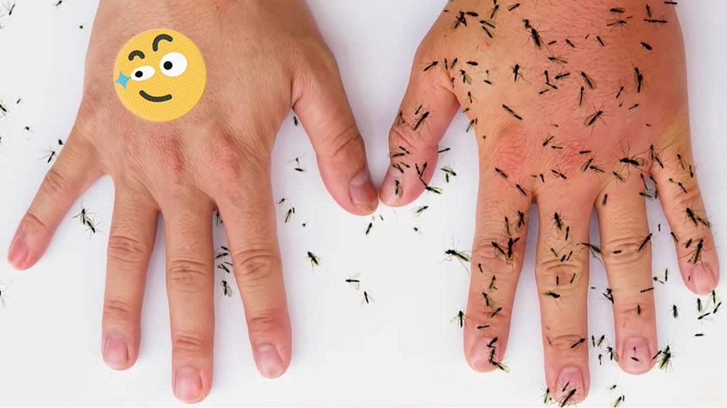 Mosquito Patch Stickers for Kids (60 Pack) - All Natural, Plant Based Ingredients, Non-Toxic, DEET Free, Citronella Essential Oil Insect Patches, for Toddlers, Babies, Children (1)