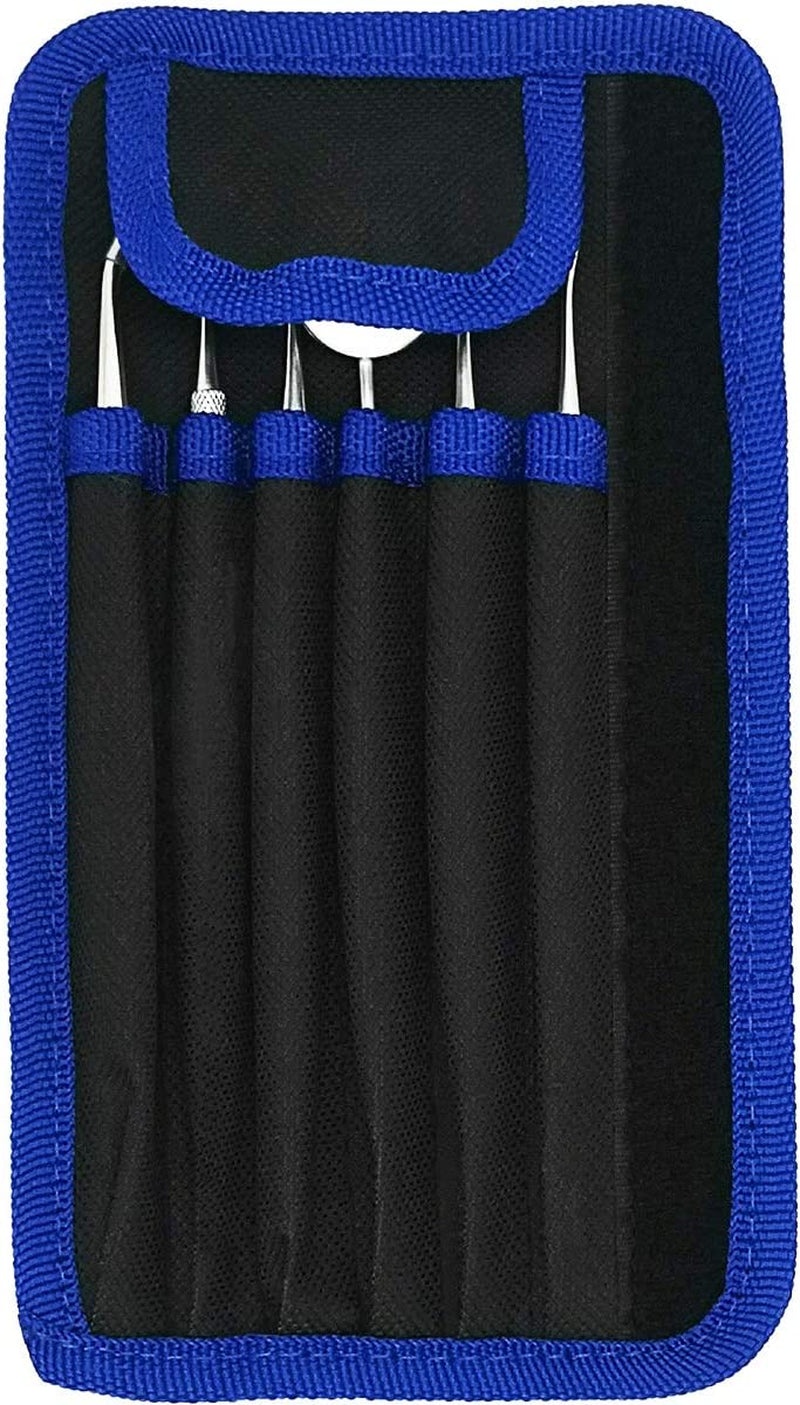 Dental Cleaning Tools 6 Pack, Professional Dental Hygiene Kit Teeth Tool Set for Home Use Stainless Steel Mouth Mirror Tweezers Dental Picks Oral Care Set to Remover Tartar, Tooth Scraper