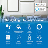 Wifi Smart White Dimmable LED Bulb E27 Google Home Alexa Compatible 240V