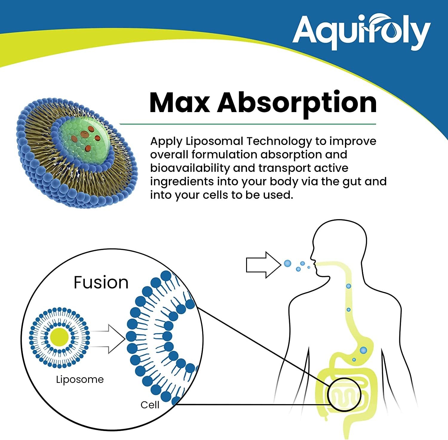 2000 MG Complex Liposomal Nicotinamide Riboside Supplement,Maximum Absorption,Superior to NMN Nad,With TMG and Pterostilbene for Boosting Nad+,Cellular Energy,Healthy Aging,60 Softgels,1