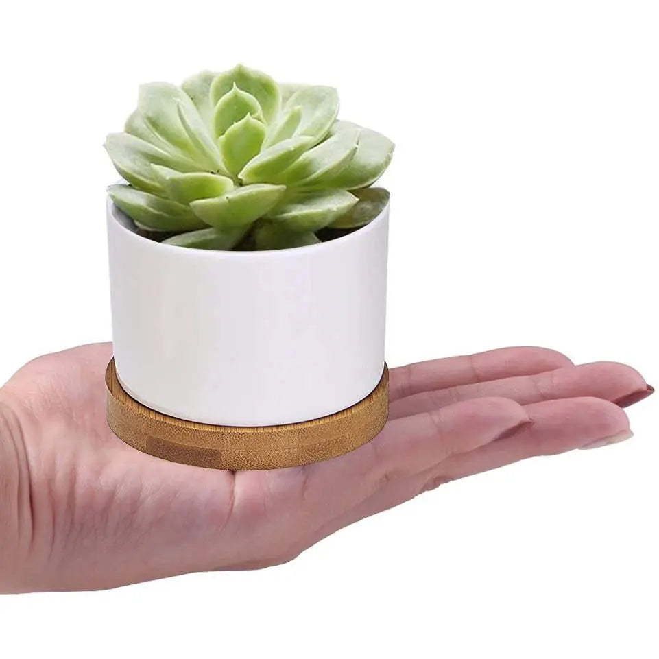 Succulent Planter ZOUTOG White Mini 3.15 inch Ceramic Flower Planter Pot with Bamboo Tray Pack of 4 (Plants NOT Included)