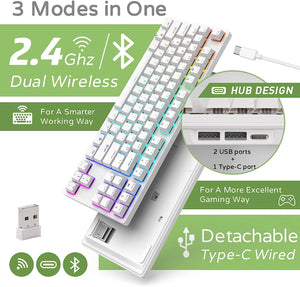 RK87 80% Mechanical Keyboard with USB Hub, 2.4G/Bt5.0/Wired, Wireless Bluetooth Mechanical Keyboard 87 Keys, RGB Hot Swappable Gaming Keyboard with Software, Brown Switch, White