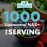 Liposomal NAD+ 1000 MG — Supplement — Supports Energy and Metabolism — Promotes Healthy Aging — Enhances Brain Function — 120 Day Supply