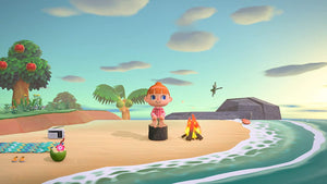 Animal Crossing New Horizons -  Switch