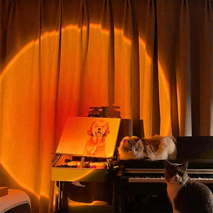 Sunset Projection LED night Light , 360 Degree Flexible Rotation  USB Floor Stand Sunset Light for Home Decor pattanaustralia