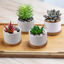 Load image into Gallery viewer, Succulent Planter ZOUTOG White Mini 3.15 inch Ceramic Flower Planter Pot with Bamboo Tray Pack of 4 (Plants NOT Included)
