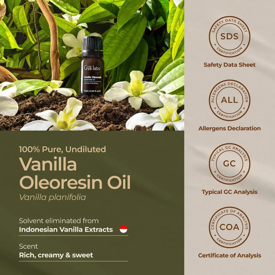 Pure Vanilla Essential Oil for Diffuser - 100% Therapeutic Grade Vanilla Oleoresin Essential Oil - Vanilla Essential Oil for Skin - Undiluted Long Lasting Vanilla Oil Perfume (10Ml)