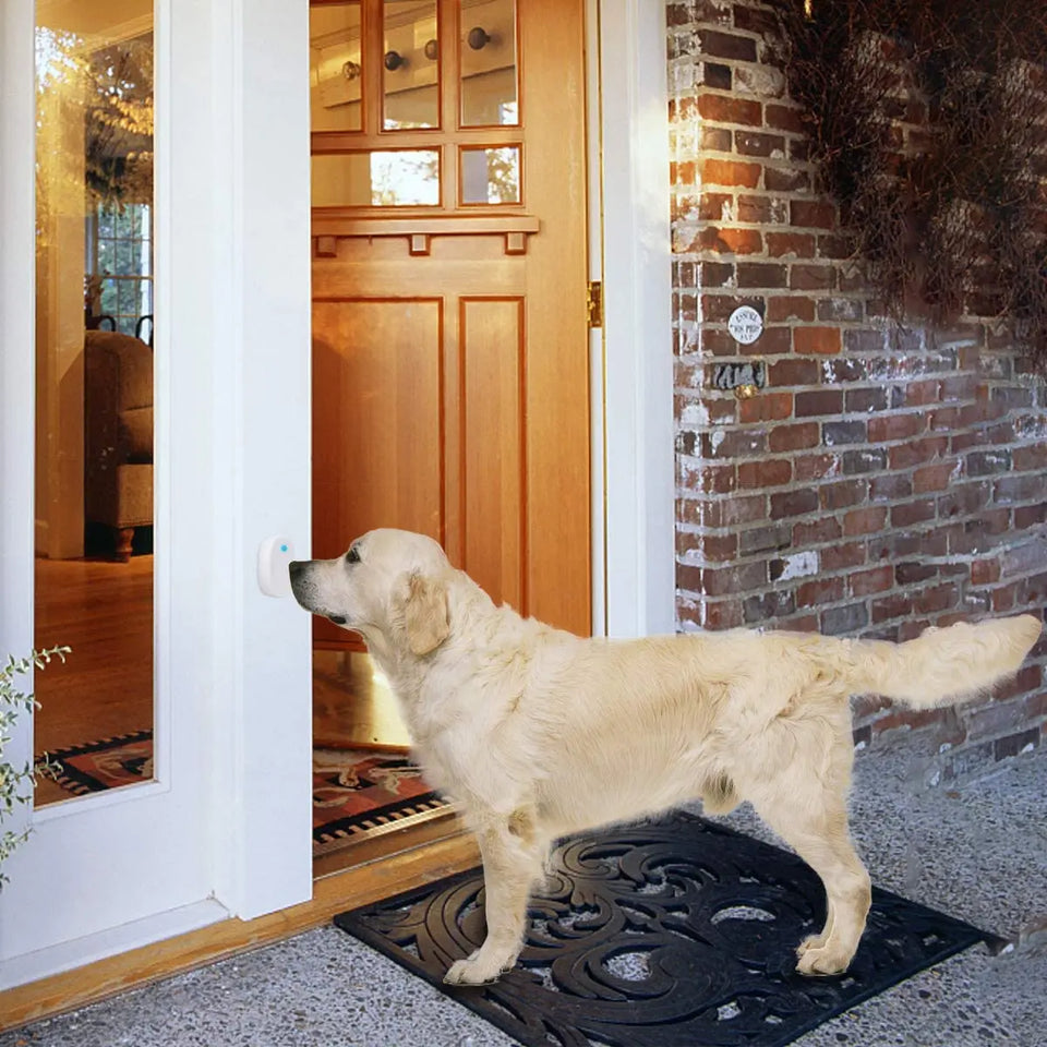 Daytech Wireless Smart Doggie Potty Communication Door Bell Pattan Australia