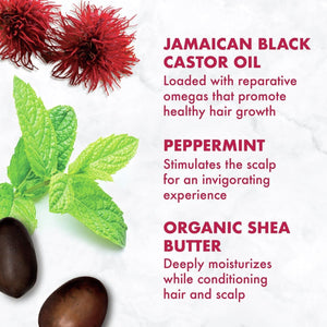 Jamaican Black Castor Oil Strengthen and Restore Shampoo, 384 Ml