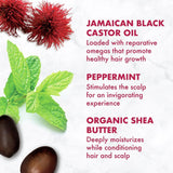 Jamaican Black Castor Oil Strengthen and Restore Shampoo, 384 Ml