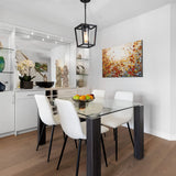 Pendant Lighting for Kitchen Island, 1-Light Black Pendant Lights with Glass Shade, Cage Hanging Light Fixtures, Farmhouse Pendant Light for Dining Room, Entryway, Hallway, Foyer